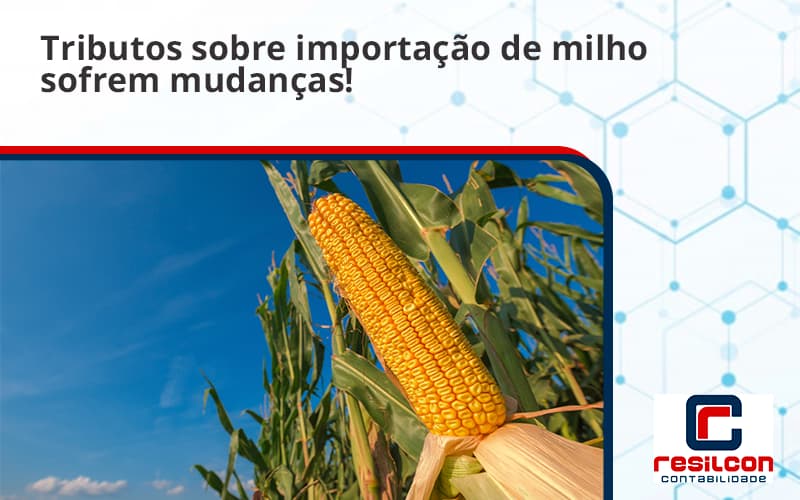 Tributos Sobre Importação De Milho Sofrem Mudanças! Resilcon - Resilcon - Contabilidade em São Paulo